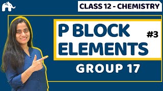 P Block Elements Class 12 | Group 17 | Halogens |CBSE NEET JEE