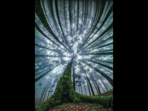 OKM and Swami Go Early Music Mix