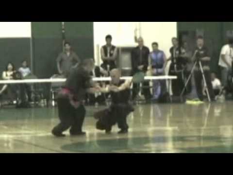 Choy Li Fut - Snake vs Crane