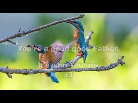 Opwekking 804 Good good Father 1B