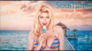 Soulful mix 2015 / SoulTanto House Music /Mastermix 42