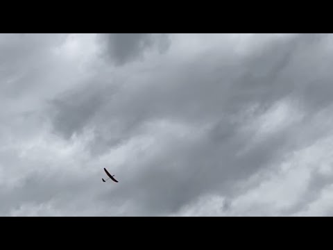 Tetra 2M RES Glider - Flying in free flight