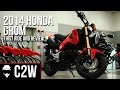 2014 Honda Grom - First Ride and Review 