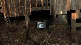 The Megaphonic Thrift - Acid Blues