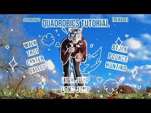 Quadrobics tutorial! High jump, gallop, trot, and more!