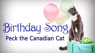 The Birthday Song A cute birthday greeting presented by a beautiful cat  Share this with your