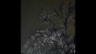 Mineral - &quot;February&quot; (Cover)