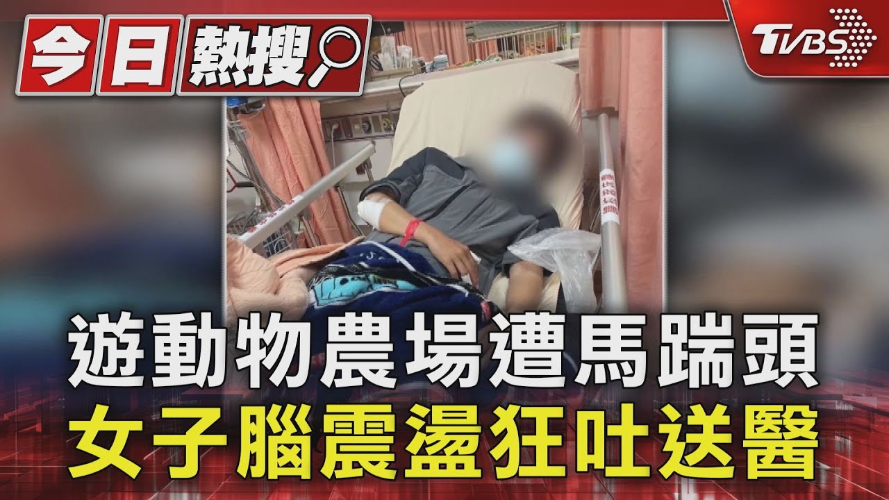 遊動物農場遭馬踹頭 女子腦震盪狂吐送醫