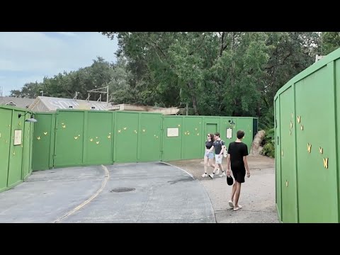 Disney World Is Going Thru Some Major Changes- Animal Kingdom Is EMPTY / Walking On Rides & NO Lines