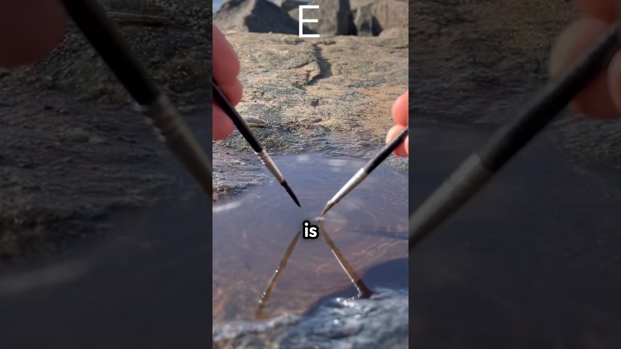 Transforming Puddles into Art (@Jepperingsted)