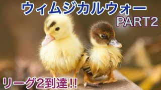 まずはリーグ２へ!　ウィムジカルウォー #2