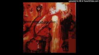 David Murray & The Gwo-Ka Masters -- O'leonso