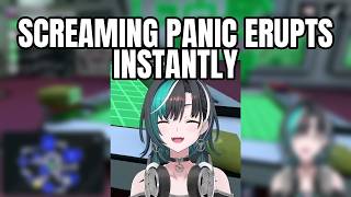 Hide-and-Seek Scream Turns Into a Chat-Wide Laughing Fit | Rindo Chihaya