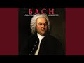 Suite 2 In B Minor BWV 1067 Menuet Badinerie