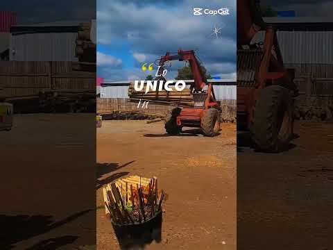 POSTES RIO MAULE #polines #postes #forestal #talca #chile #videos