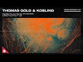 Thomas Gold Kosling Feat David Shane Escape