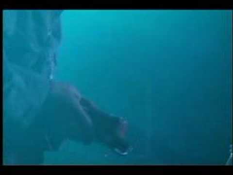 Kodama (Echo) From Dub Station - Gate Of Planet