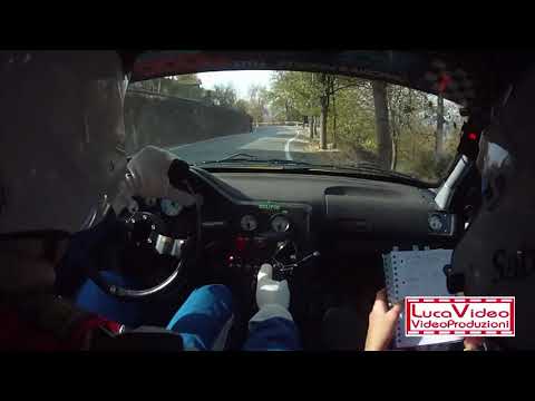 Cameracar Rally del Piemonte 2017 Clavario-Radosta 106 N2 - PS1