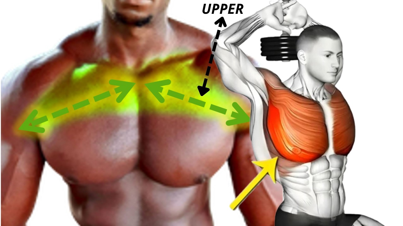 You just need these 4 exercises to get a huge upper chest