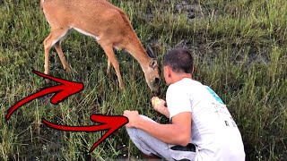 You WONT BELIEVE HOW CLOSE WE GOT...