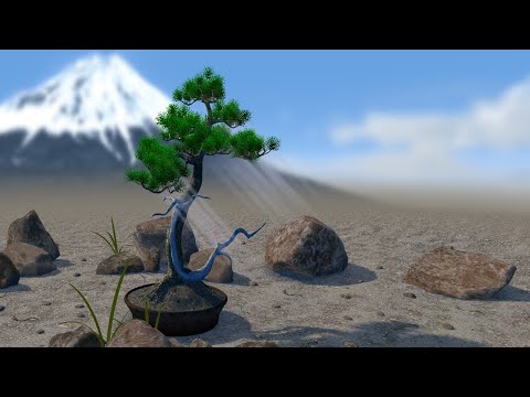 Bonsai 3D Live Wallpaper Video
