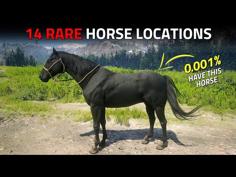 14 Rare Horse Locations - RDR2