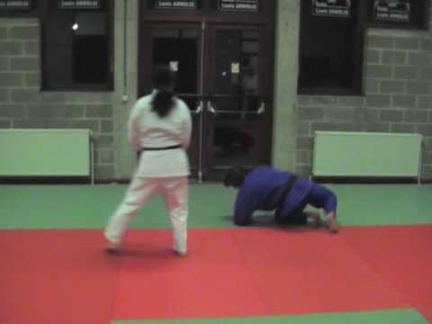 Bushido Saive ju jitsu les 16 techniques de Pariset