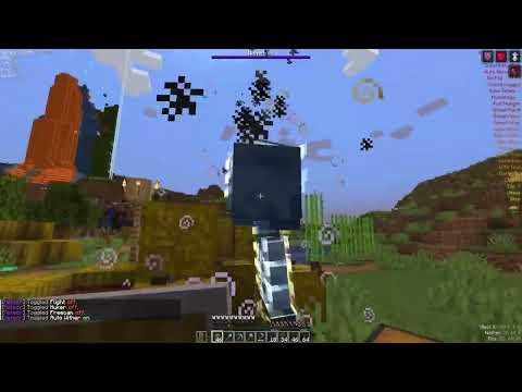 EPIC MINECRAFT WITHER GRIEFING
