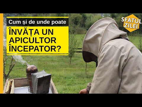 Cum si de unde poate invata un apicultor incepator?