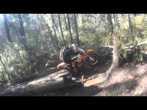 Good day out on the KTM 500's