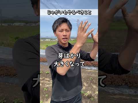 園芸 一年中手に入る野菜「ジャガイモ」