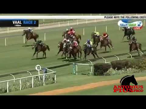 Yakeen (A HORSE FIT AND DESIGN FOR THE Champ De Mars)