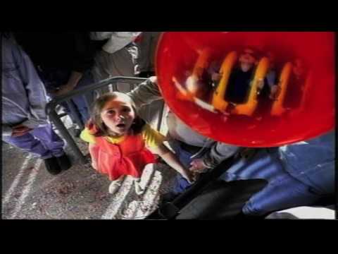 Great Bear short video by VideoVarietychannel