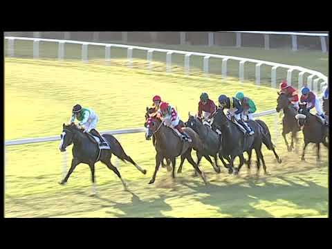 2020-01-30 Corsa 4 Metri 2000 Premio Umberto Simonetta