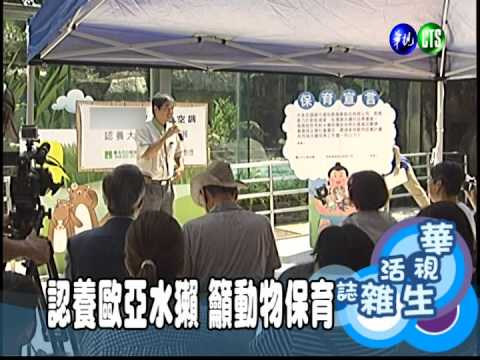 認養歐亞水獺 籲動物保育