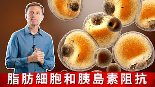 Re: [閒聊] 168斷食法真的有用嗎？