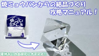 参考動画