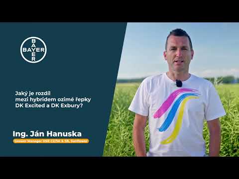 Jaký je rozdíl mezi hybridem ozimé řepky DK Excited a DK Exbury?
