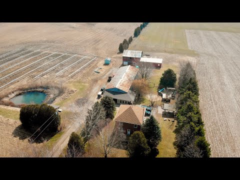 ✨  NEW LISTING - 27885 Talbot Line, Wallacetown ON