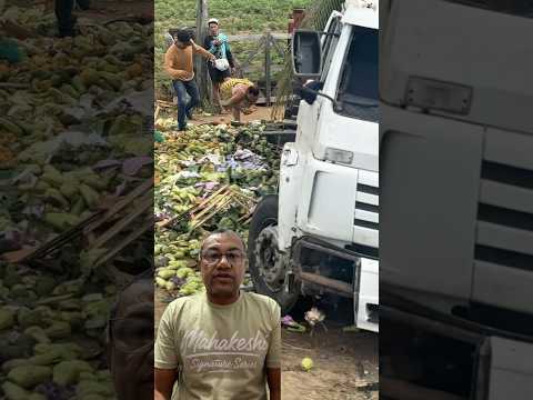 Animal solto causa acidente na BA130, trecho que liga Várzea da Roça a São José do Jacuípe.