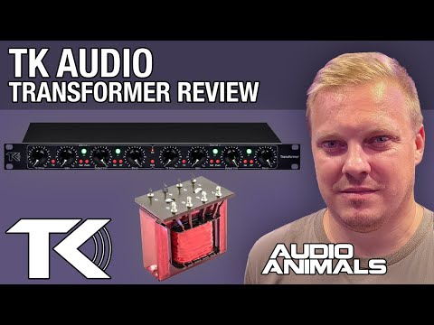 TK Audio Transformer image 13