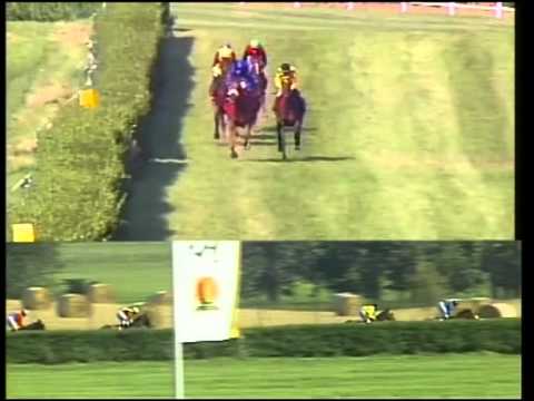 Bad Doberan, Preis der OSPA, 19.8.2012 - Sieger: Warstein