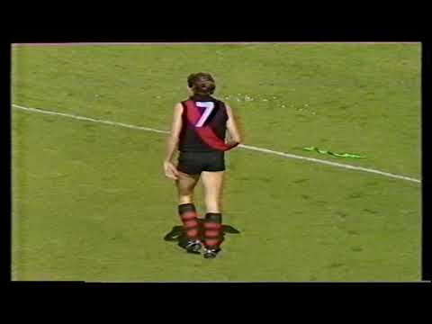 1985 Elimination Final West 17.21 123 d Sturt 16.14 110