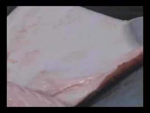 Inuit  - Skinning Seal with Ulu