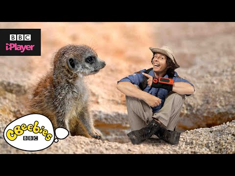 安迪的5大可愛動物!| 安迪的5個最可愛的動物！｜CBeebies (Andy's Top 5 Cutest Animals! | CBeebies)
