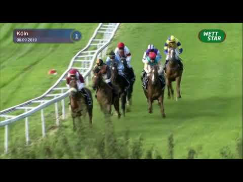 Tipico Card-Cup - Maiden (D) 2019