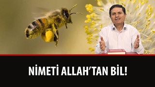 Dr. Ahmet ÇOLAK - Nimeti Allah'tan Bil!