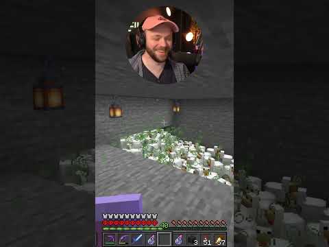 8bit Elliott - Hundreds of chickens all take a splash potion to the face