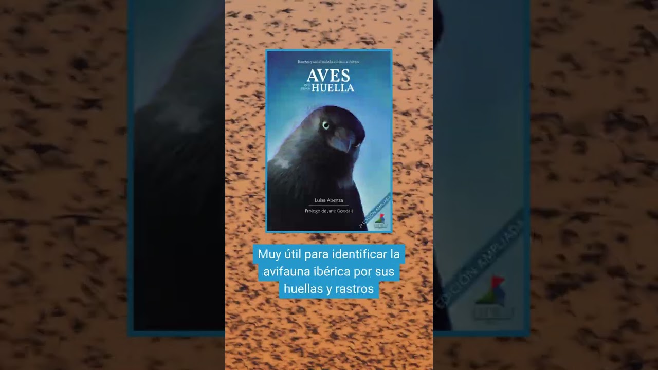 📖Recomendaciones de lecturas pajareras