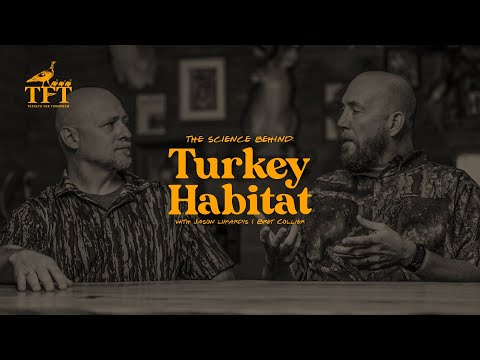 How To Create Good Turkey Habitat | Turkeys For Tomorrow | The Advantage